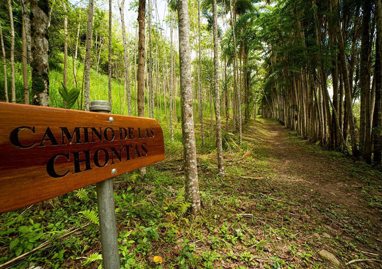 Fundo San Jose Parque Ecologico & Lodge Hotel Asociado Casa Andina Ла-Мерсед Экстерьер фото