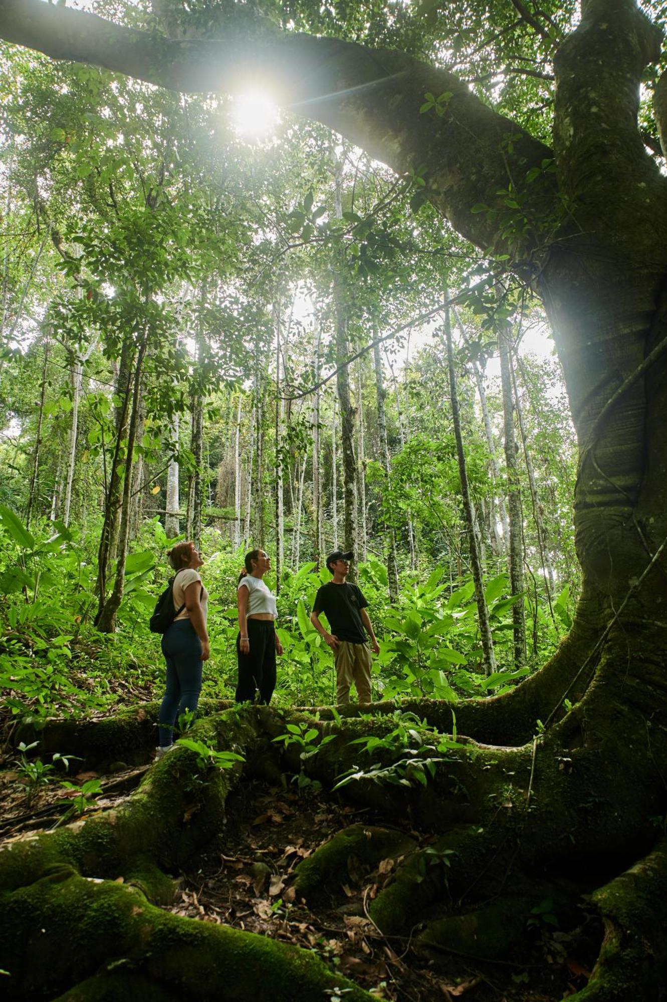 Fundo San Jose Parque Ecologico & Lodge Hotel Asociado Casa Andina Ла-Мерсед Экстерьер фото