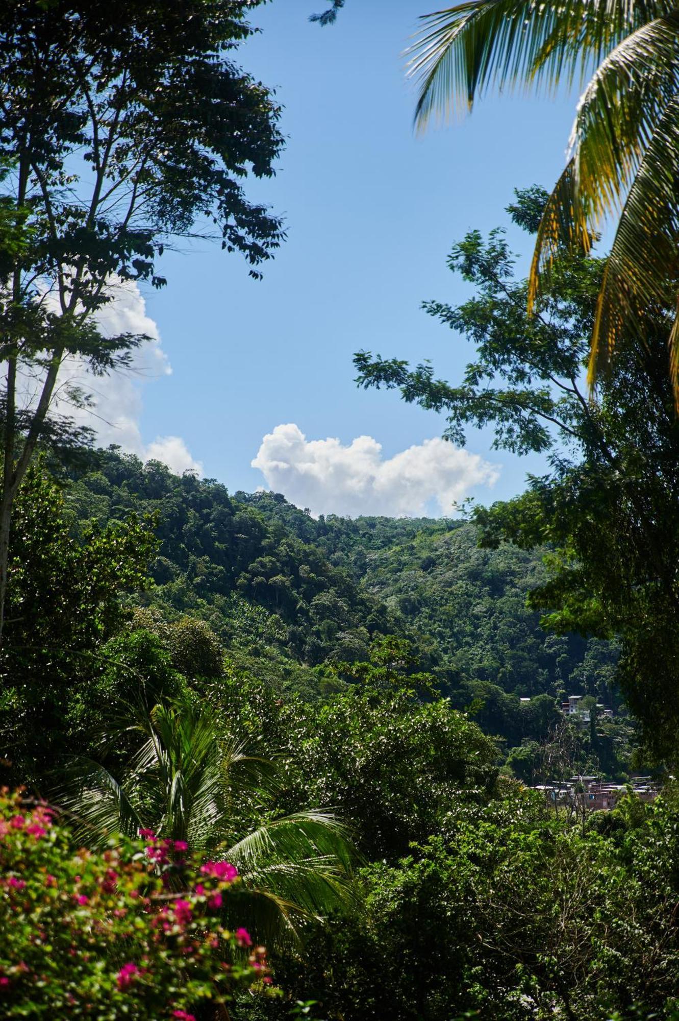 Fundo San Jose Parque Ecologico & Lodge Hotel Asociado Casa Andina Ла-Мерсед Экстерьер фото